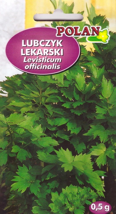 lubczyk lekarski pol.jpg