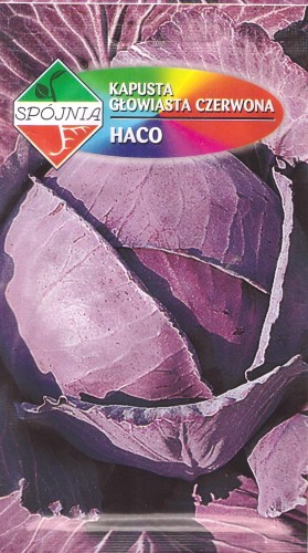 kapusta haco spoj.jpg