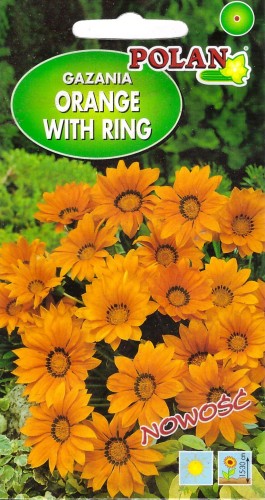 gazania orange with ring pol.jpg