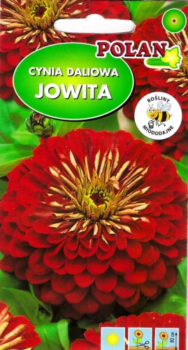 cynia jowita Pol.jpg