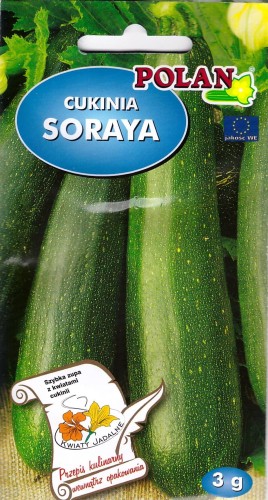 cukinia soraya Pol.jpg
