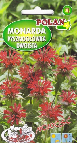 monarda pol.jpg