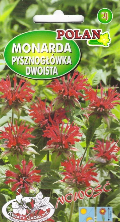 monarda pol.jpg