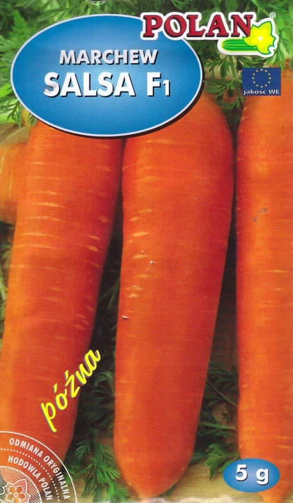 marchew salsa.jpg