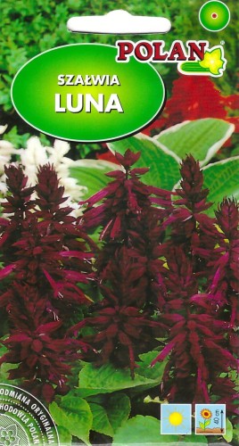 szalwia luna pol.jpg