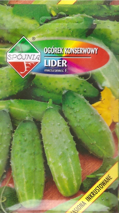 ogorek lider spoj.jpg