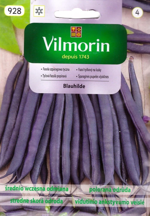 fasola blauhilde vil.jpg