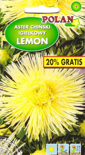 aster lemon pol.jpg