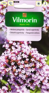 Werbena patagońska nasiona 0,3g Vilmorin