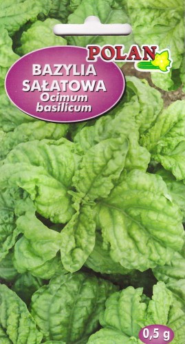 Bazylia sałatowa.jpg