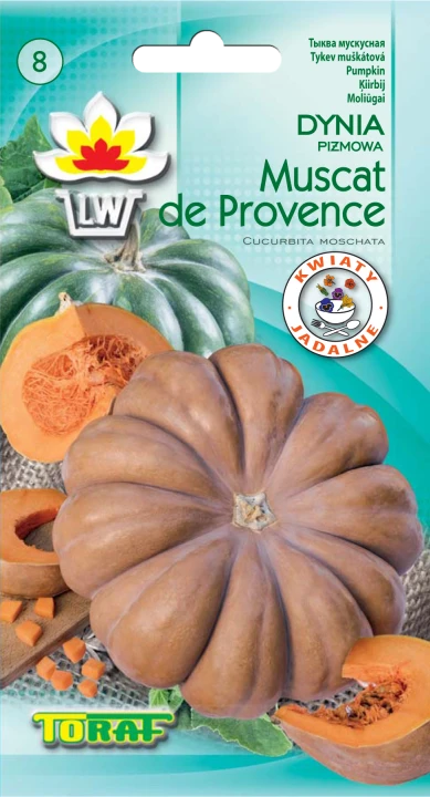 dynia muscat de provence.png