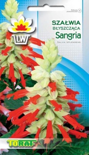 szalwia-blyszczaca-sangria.jpg