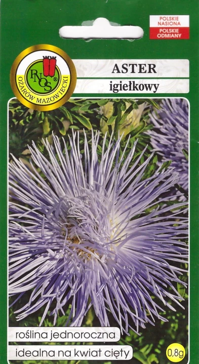 aster igielkowy niebieski pnos.jpg