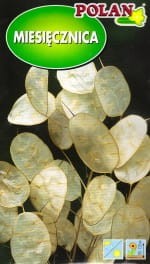 miesiecznica.jpg