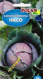 kapusta-haco-pol.jpg