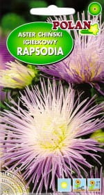 aster-rapsodia-pol.jpg