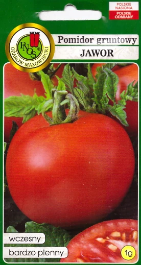 pomidor jawor pnos.PNG