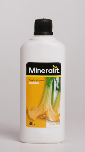 datura.png