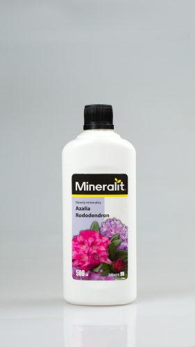 azalia rododendron.png