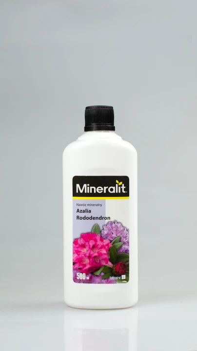 azalia rododendron.png