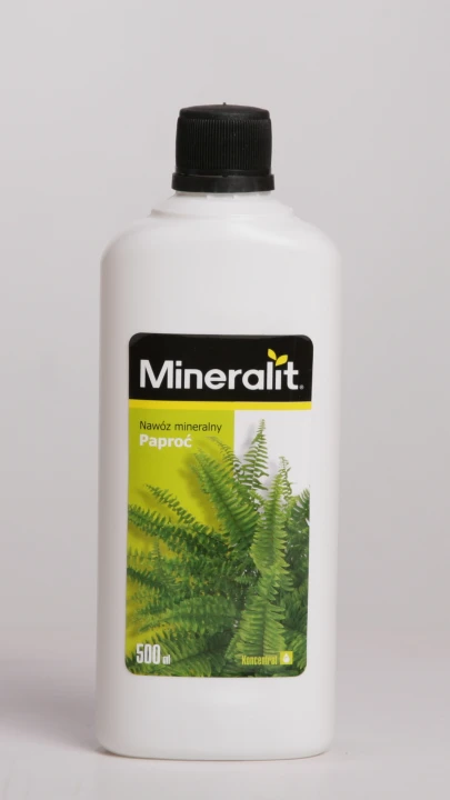 paproć.png