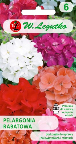 Pelargonia rabatowa mieszanka.jpg