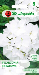 Pelargonia rabatowa biała nasiona 0,05g Legutko