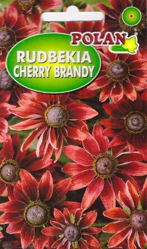 rudbekia cherry brandy pol.PNG