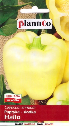 papryka hallo.jpg