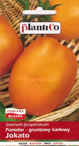 pomidor jokato.jpg