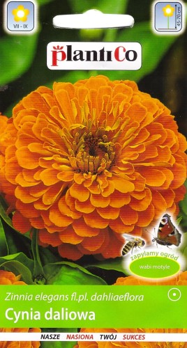 cynia orys.jpg