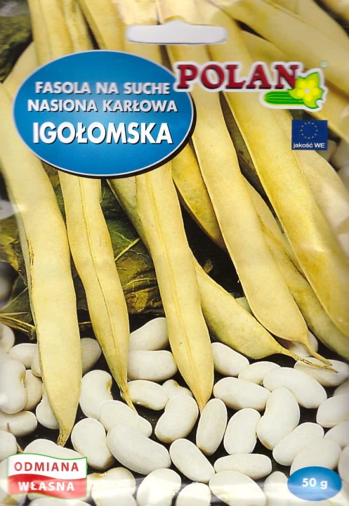 fasola igołomska.jpg