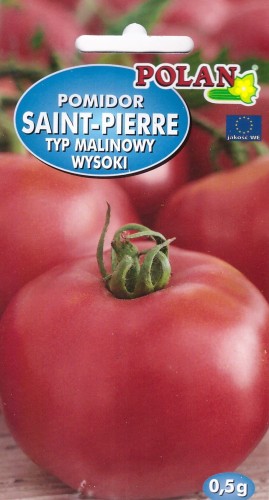 pomidor saint pierre.jpg