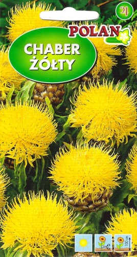 chaber żółty.jpg