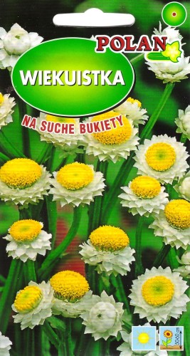 wiekuistka.jpg