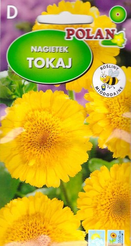 nagietek tokaj.jpg