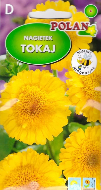 nagietek tokaj.jpg