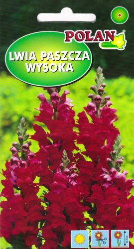 lwia paszcza czerwona.jpg