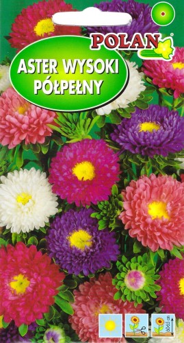 aster wysoki półpełny.jpg