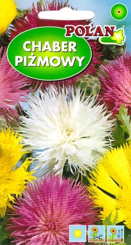 chaber piżmowy.jpg