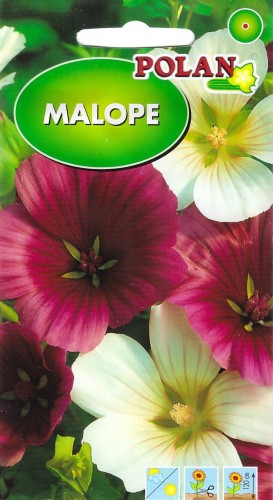 malope.jpg