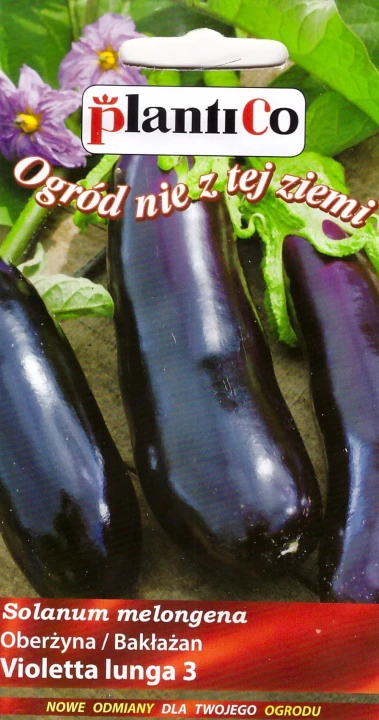 oberżyna violetta lunga.jpg