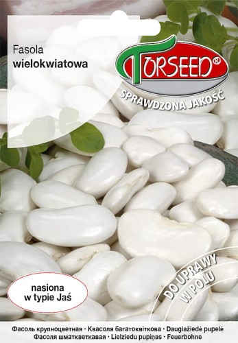 fasola wielokwiatowa Kontra.jpg