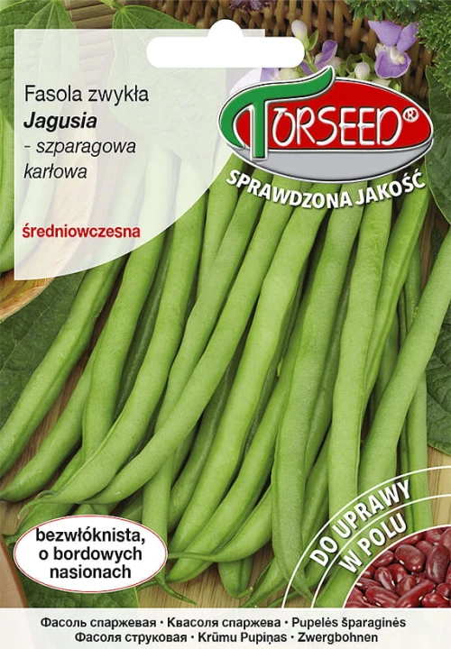 fasola jagusia.jpg