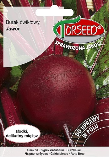 Burak ćw. Jawor.jpg