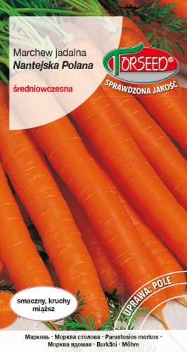 Marchew Nantejska Polana.jpg