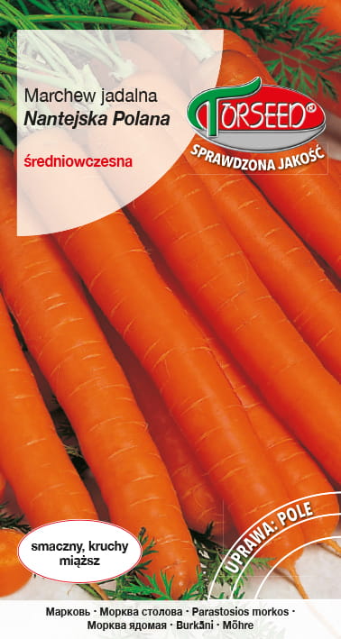 Marchew Nantejska Polana.jpg