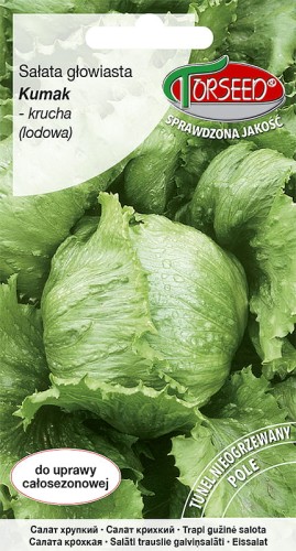 salata kumak.jpg