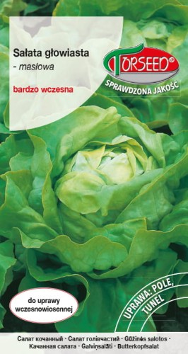 Sałata głowiasta Bona.jpg