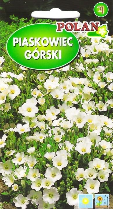 piaskowiec górski.jpg